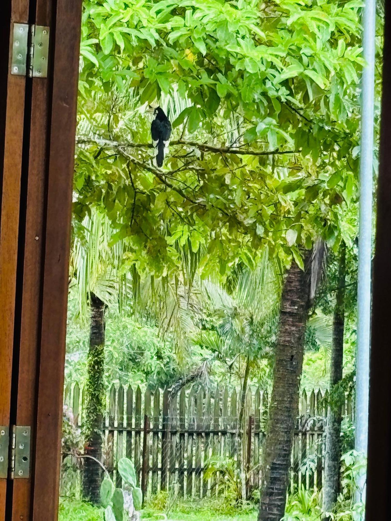 Padimas Villa @Datai Valley Eksteriør billede